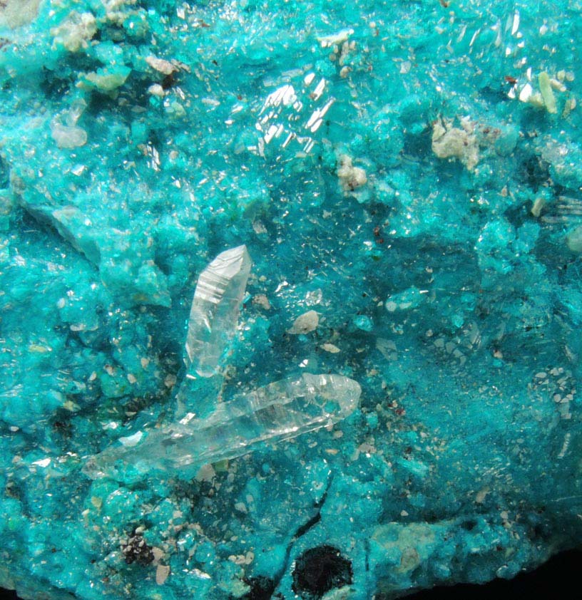 Dioptase and Chrysocolla with Quartz from Milpillas Mine, Cuitaca, Sonora, Mexico