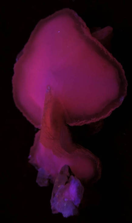 Photo below under shortwave ultraviolet illumination of Calcite (internally zoned) from Dalnegorsk, Primorskiy Kray, Russia Calcite (internally zoned) from Dalnegorsk, Primorskiy Kray, Russia