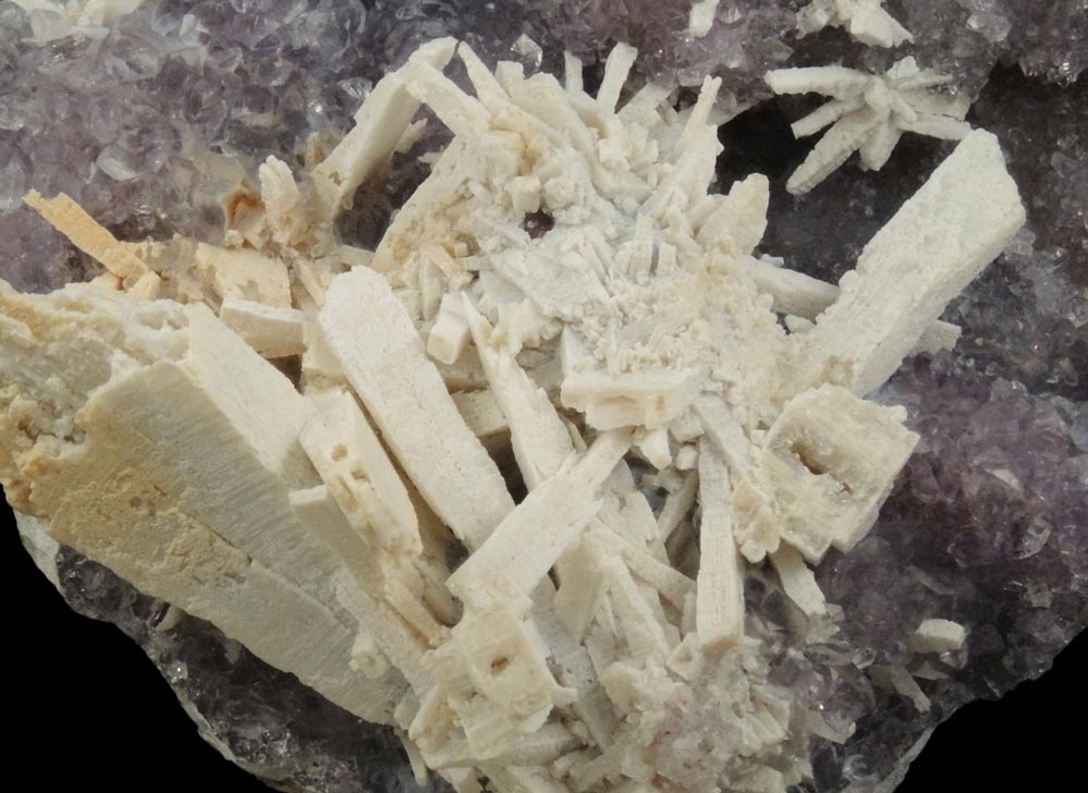 Quartz pseudomorphs after Anhydrite on Amethyst from Ametista do Sul, Alto Uruguai, Rio Grande do Sul, Brazil