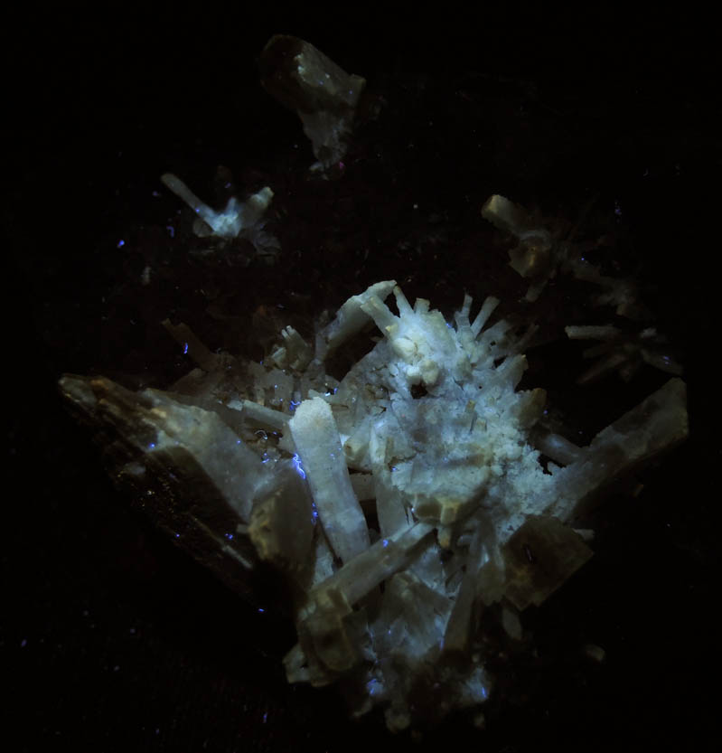 Photo below under longwave ultraviolet illumination of Quartz pseudomorphs after Anhydrite on Amethyst from Ametista do Sul, Alto Uruguai, Rio Grande do Sul, Brazil Quartz pseudomorphs after Anhydrite on Amethyst from Ametista do Sul, Alto Uruguai, Rio Grande do Sul, Brazil