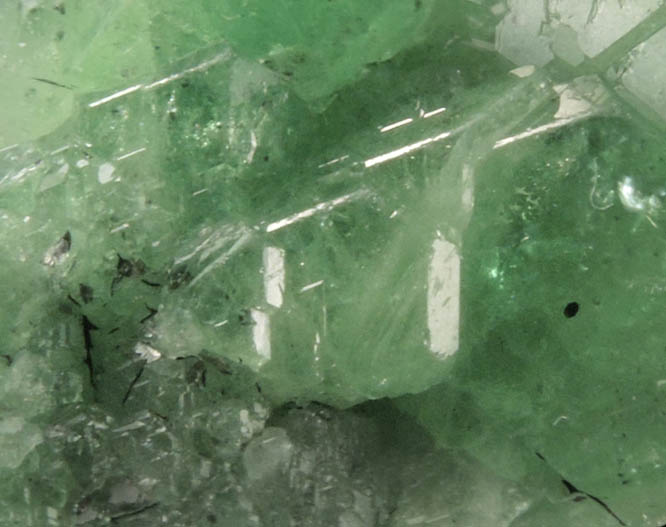 Grossular var. Tsavorite Garnet from Merelani Hills, near Arusha, Tanzania