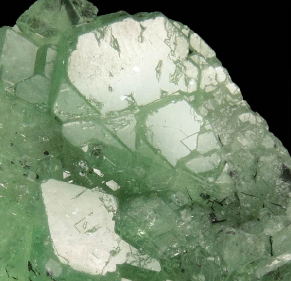 Grossular var. Tsavorite Garnet from Merelani Hills, near Arusha, Tanzania