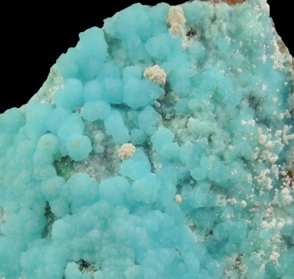 Chalcoalumite from Grandview Mine, Coconino County, Arizona