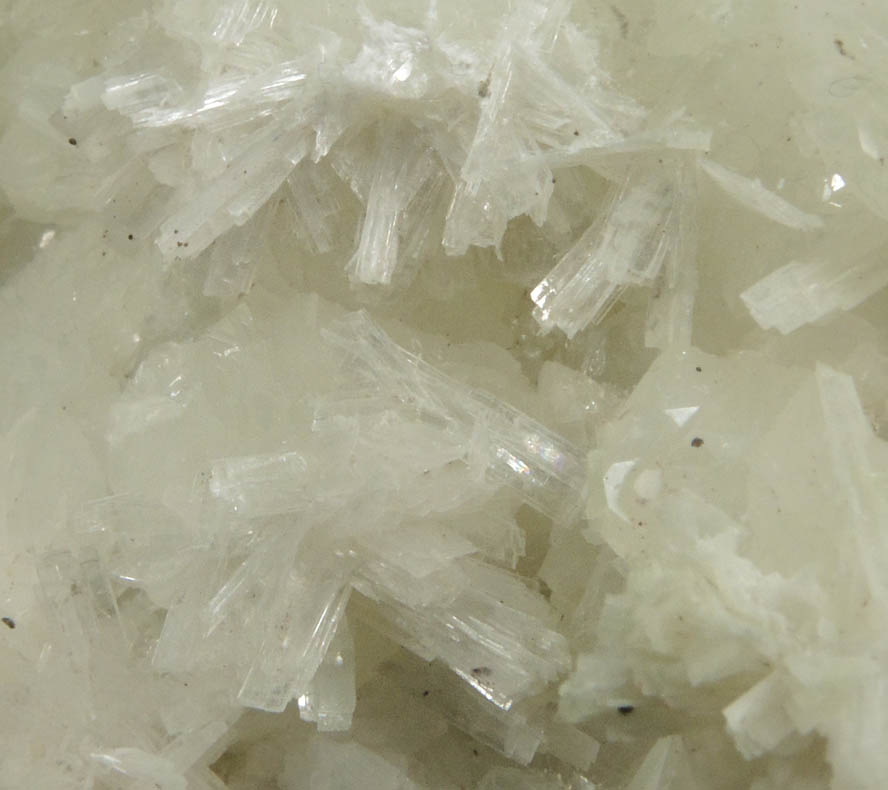 Pectolite on Datolite from Millington Quarry, Bernards Township, Somerset County, New Jersey