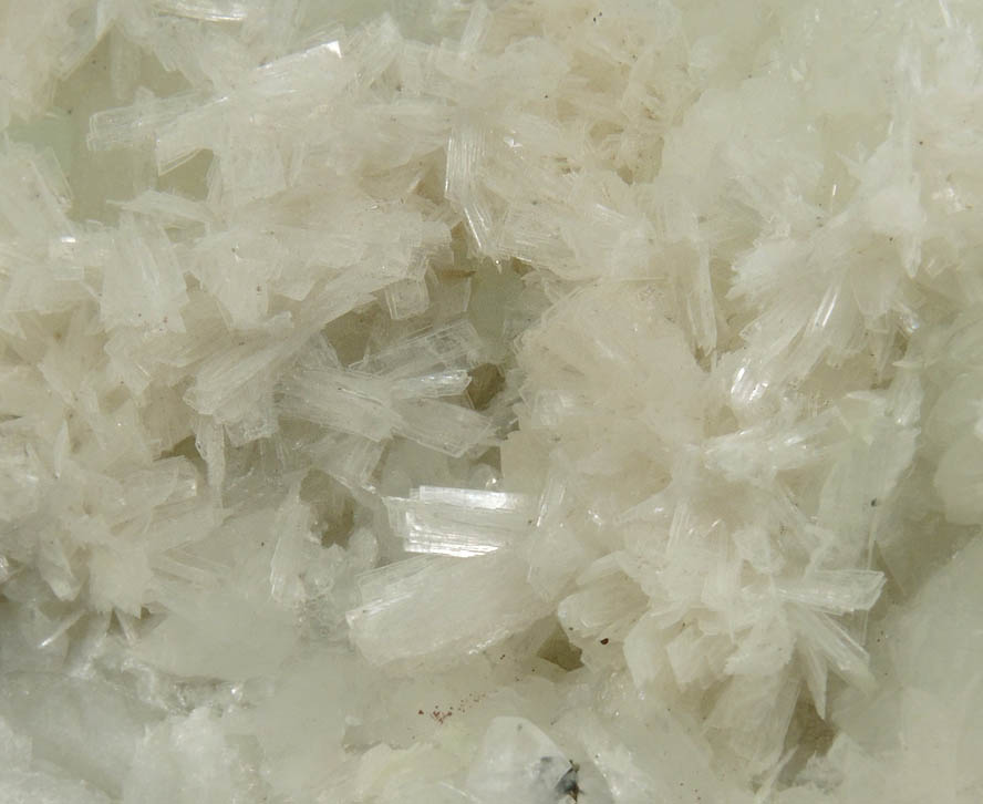 Pectolite on Datolite from Millington Quarry, Bernards Township, Somerset County, New Jersey