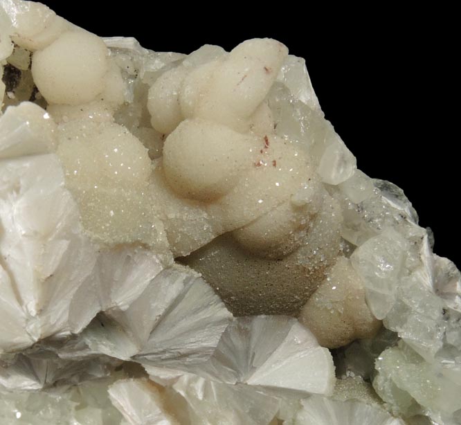 Pectolite with Apophyllite on Datolite from Millington Quarry, Bernards Township, Somerset County, New Jersey