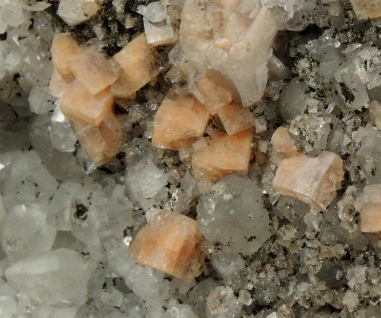 Chabazite, Apophyllite, Calcite, Quartz, Chamosite from New Street Quarry, Paterson, Passaic County, New Jersey