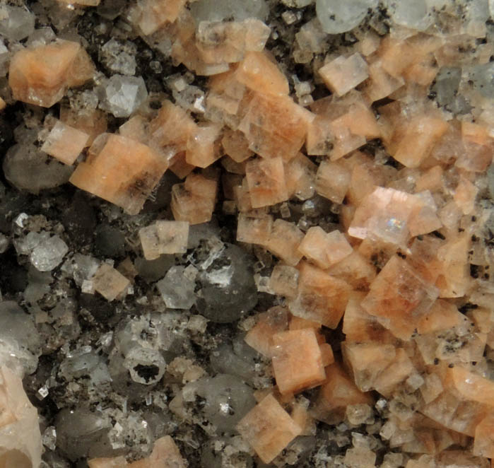 Chabazite, Apophyllite, Calcite, Quartz, Chamosite from New Street Quarry, Paterson, Passaic County, New Jersey