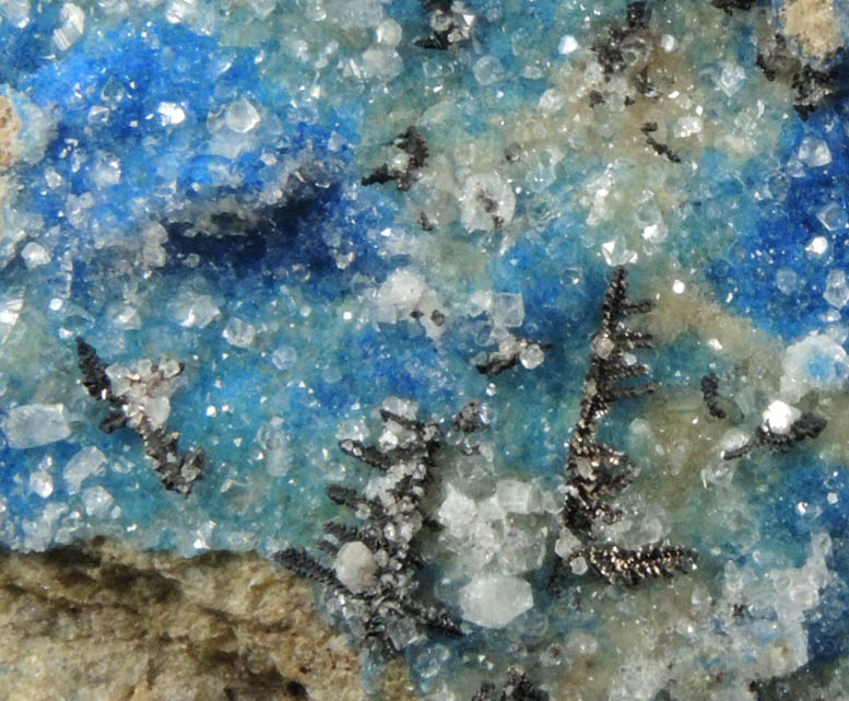 Silver on Kinoite with Apophyllite from Christmas Mine, Banner District, Gila County, Arizona