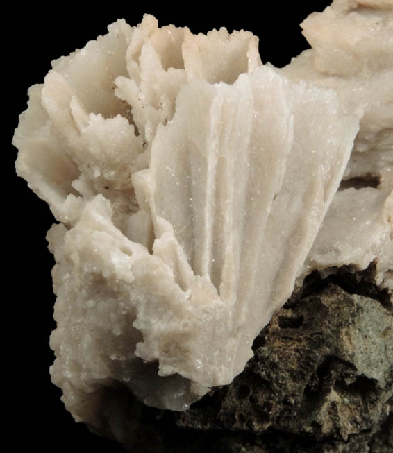 Quartz pseudomorphs after Glauberite from Upper Montclair, Essex County, New Jersey