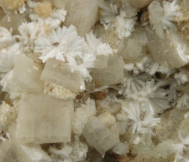 Heulandite, Laumontite, Prehnite from Upper New Street Quarry, Paterson, Passaic County, New Jersey