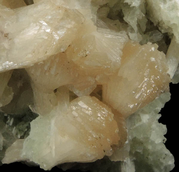 Stilbite on Prehnite pseudomorphs after Anhydrite from Upper New Street Quarry, Paterson, Passaic County, New Jersey