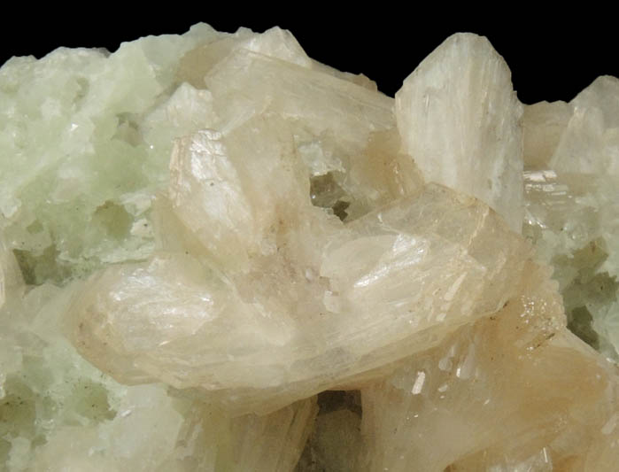 Stilbite on Prehnite pseudomorphs after Anhydrite from Upper New Street Quarry, Paterson, Passaic County, New Jersey