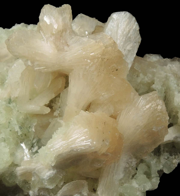 Stilbite on Prehnite pseudomorphs after Anhydrite from Upper New Street Quarry, Paterson, Passaic County, New Jersey