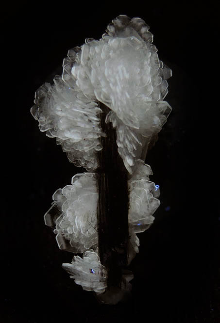 Barite on Stibnite from Baia Sprie, Maramures, Romania