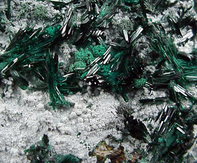 Atacamite from Mina La Farola, Copiapo, Atacama Desert, Chile (Type Locality for Atacamite)