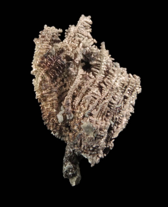 Silver (naturally crystallized native silver) from Port Radium, Great Bear Lake, Northwest Territories, Canada