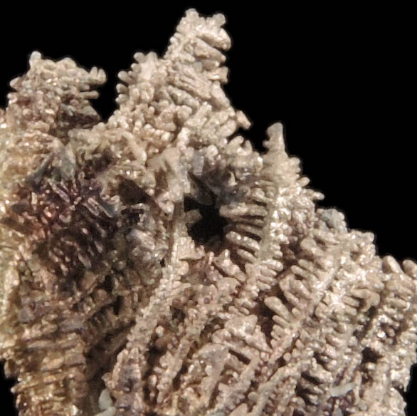 Silver (naturally crystallized native silver) from Port Radium, Great Bear Lake, Northwest Territories, Canada