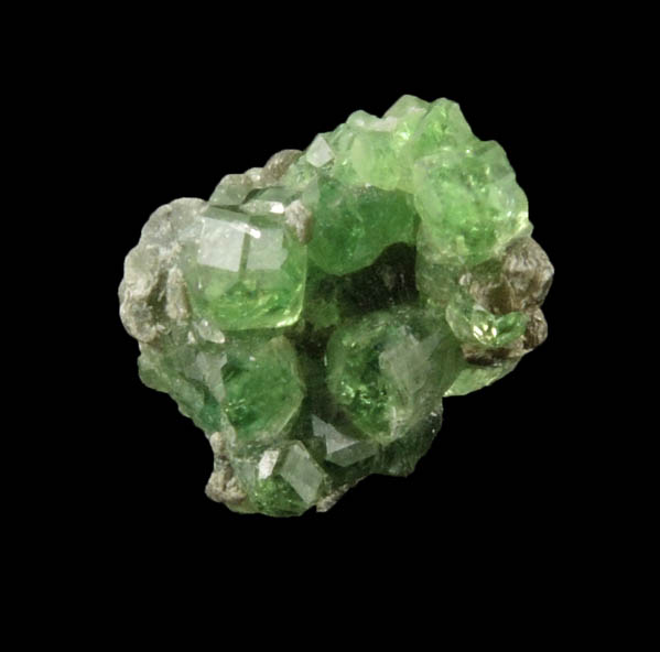 Grossular var. Chrome-rich Grossular Garnets from Jeffrey Mine, Asbestos, Qubec, Canada