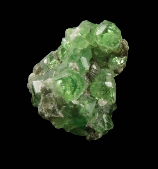 Grossular var. Chrome-rich Grossular Garnets from Jeffrey Mine, Asbestos, Qubec, Canada