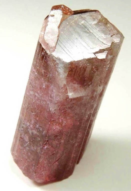 Elbaite var. Rubellite Tourmaline with facet-grade gem nodule from Himalaya Mine, Mesa Grande District, San Diego County, California