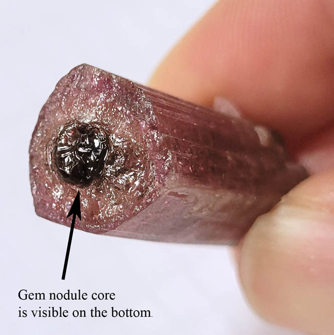 Elbaite var. Rubellite Tourmaline with facet-grade gem nodule from Himalaya Mine, Mesa Grande District, San Diego County, California