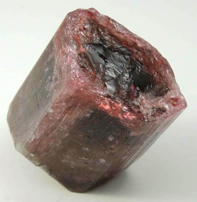 Elbaite var. Rubellite Tourmaline with facet-grade gem nodule from Alto Ligonha District, Zambezia, Mozambique