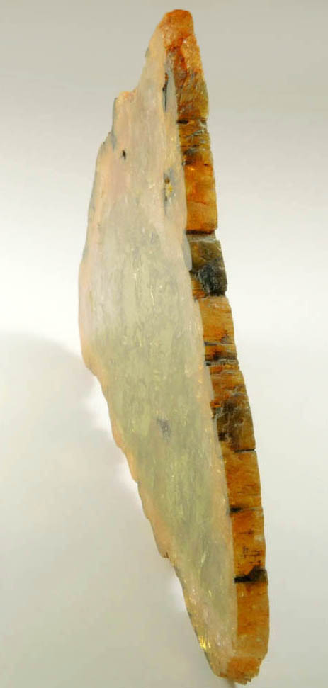 Liddicoatite Tourmaline (Polished Slice) from Alakamisy Itenina, south of Antsirab, Fianarantsoa, Haute Matsiatra, Madagascar (Type Locality for Liddicoatite)