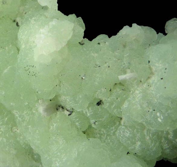 Prehnite pseudomorphs after Anhydrite with Laumontite from Upper New Street Quarry, Paterson, Passaic County, New Jersey