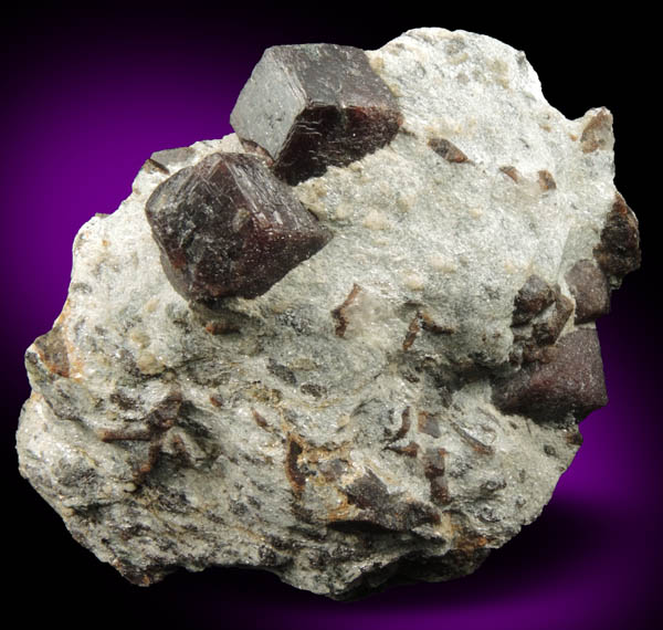 Almandine Garnet with Staurolite from Green's Farm, 750 m. ESE of Roxbury Falls, Roxbury, New Haven County, Connecticut