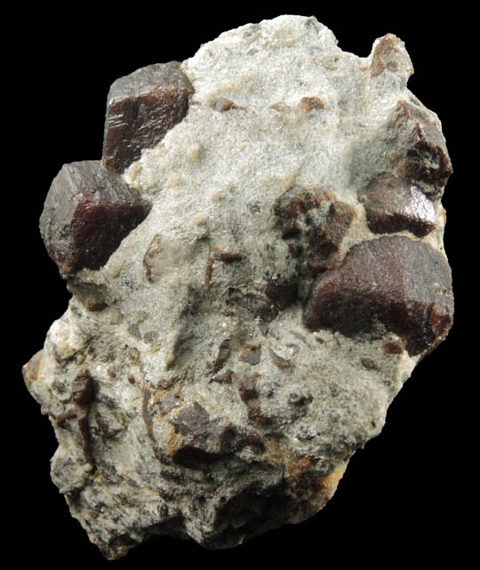 Almandine Garnet with Staurolite from Green's Farm, 750 m. ESE of Roxbury Falls, Roxbury, New Haven County, Connecticut