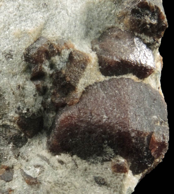 Almandine Garnet with Staurolite from Green's Farm, 750 m. ESE of Roxbury Falls, Roxbury, New Haven County, Connecticut