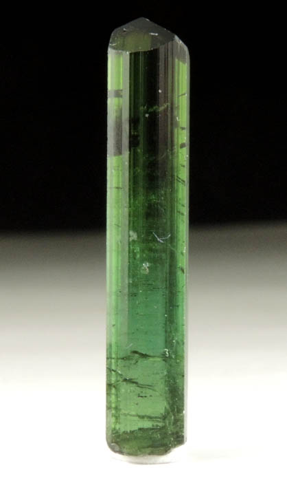 Elbaite Tourmaline from Pederneira Mine, Sao Jose da Safira, Minas Gerais, Brazil