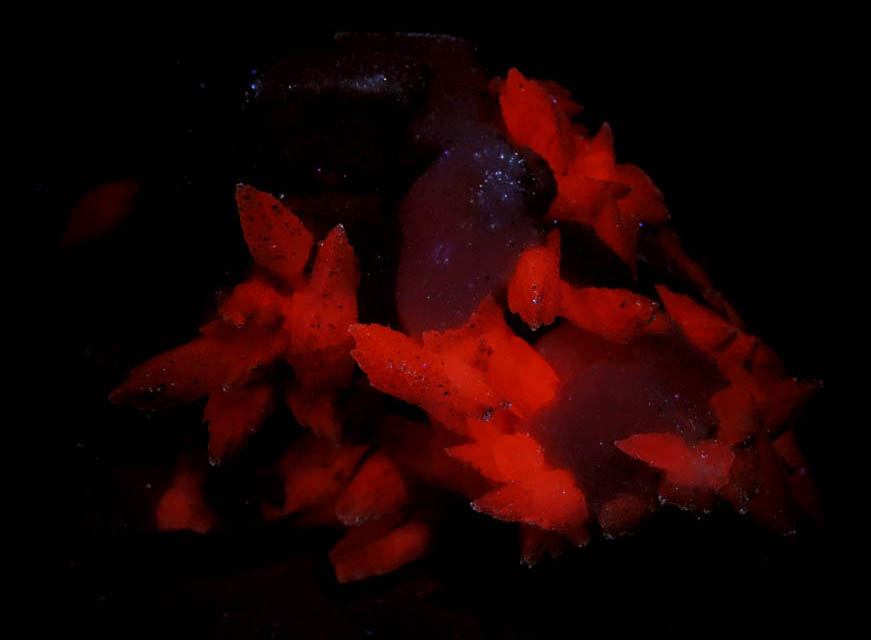 Photo below under longwave ultraviolet illumination of Quartz with Chlorite on Calcite from Naica District, Saucillo, Chihuahua, Mexico Quartz with Chlorite on Calcite from Naica District, Saucillo, Chihuahua, Mexico
