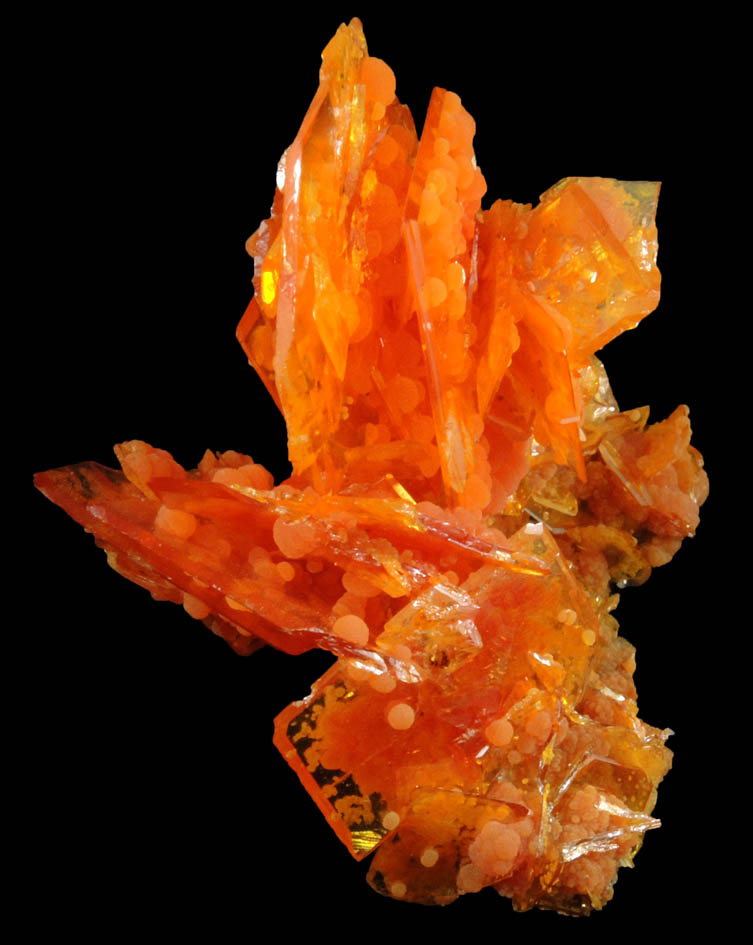 Wulfenite with Mimetite from San Francisco Mine, Cerro Prieto, north of Cucurpe, Sonora, Mexico