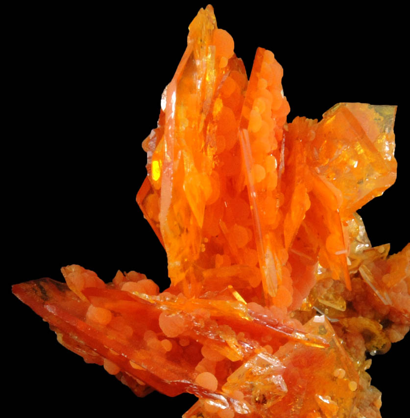 Wulfenite with Mimetite from San Francisco Mine, Cerro Prieto, north of Cucurpe, Sonora, Mexico