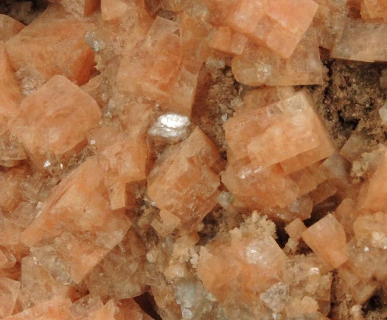 Chabazite over Heulandite from Wasson's Bluff, Parrsboro, Nova Scotia, Canada