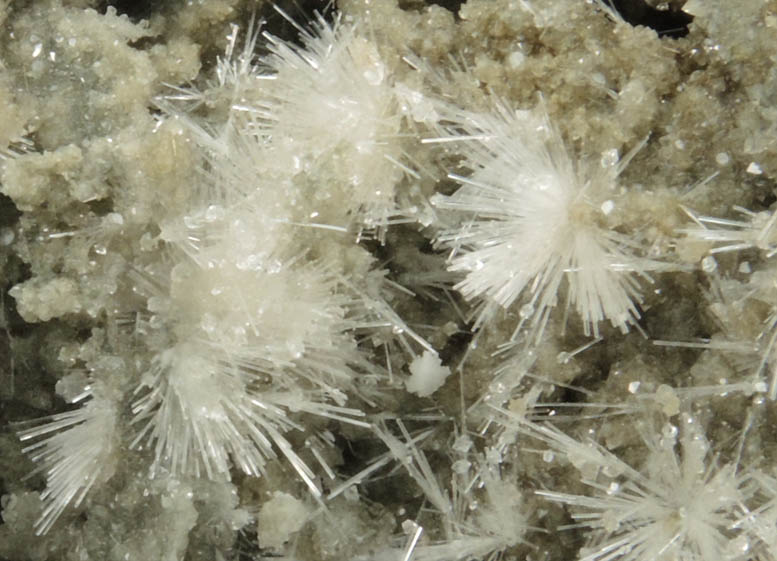 Natrolite on Calcite from Millington Quarry, Bernards Township, Somerset County, New Jersey