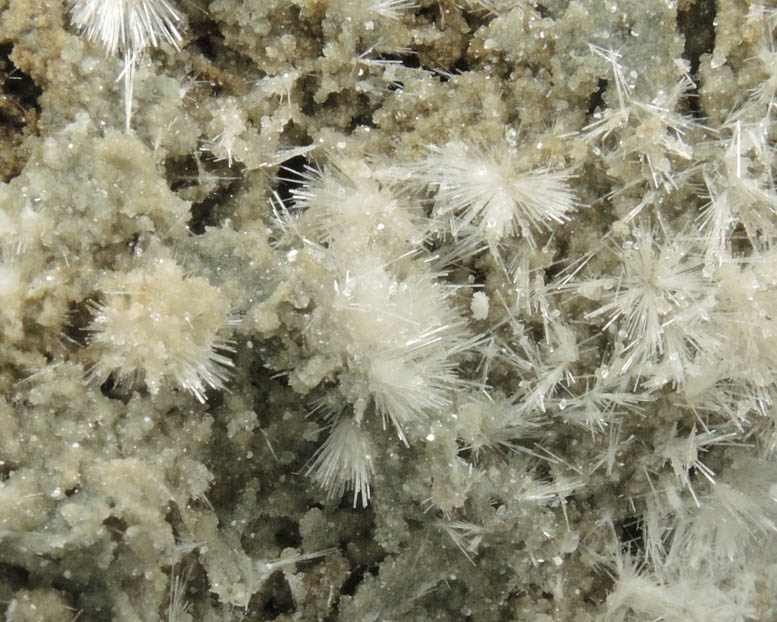 Natrolite on Calcite from Millington Quarry, Bernards Township, Somerset County, New Jersey