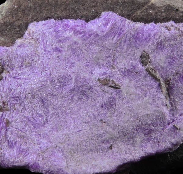 Sugilite from N'Chwaning III Mine, Kalahari Manganese Field, Northern Cape Province, South Africa