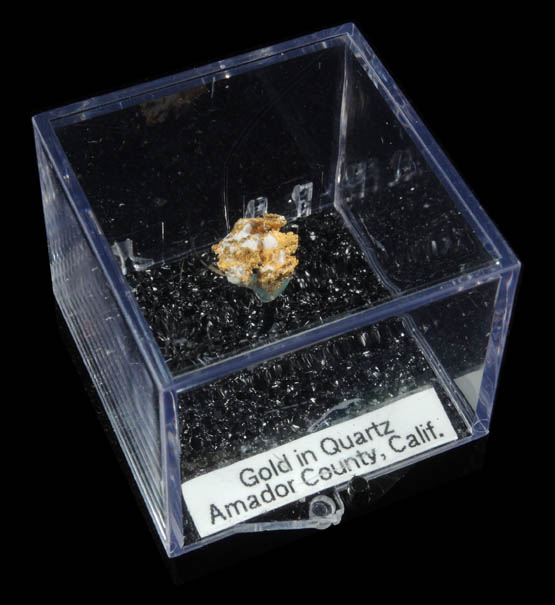 Gold (native gold) in Quartz from Mother Lode Gold Belt, Amador County, California