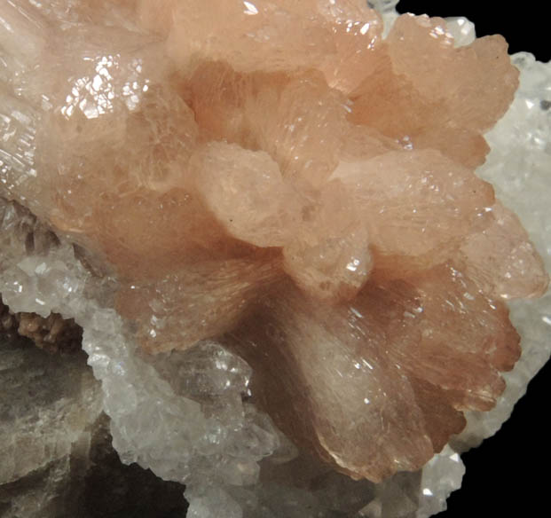 Olmiite on Calcite from N'Chwaning II Mine, Kalahari Manganese Field, Northern Cape Province, South Africa (Type Locality for Olmiite)