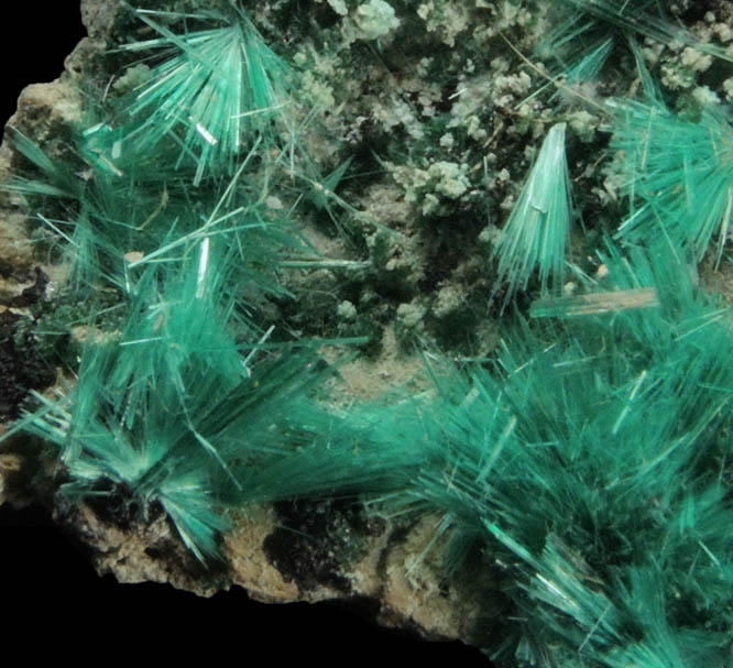 Brochantite from Kabolela Mine, 13 km W of Kambove, Katanga Copperbelt, Lualaba Province, Democratic Republic of the Congo