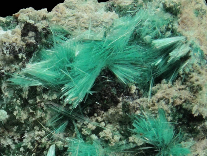 Brochantite from Kabolela Mine, 13 km W of Kambove, Katanga Copperbelt, Lualaba Province, Democratic Republic of the Congo