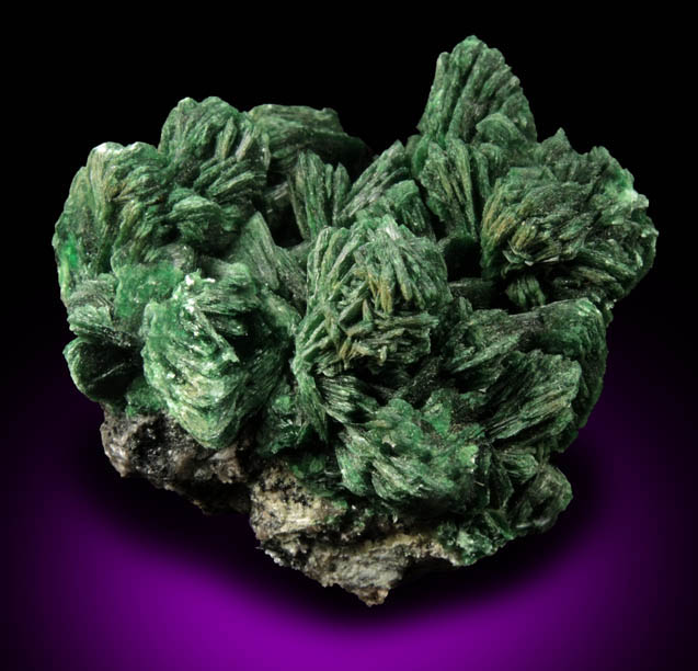 Torbernite from Musonoi Mine, Kolwezi District, Katanga Copperbelt, Lualaba Province, Democratic Republic of the Congo