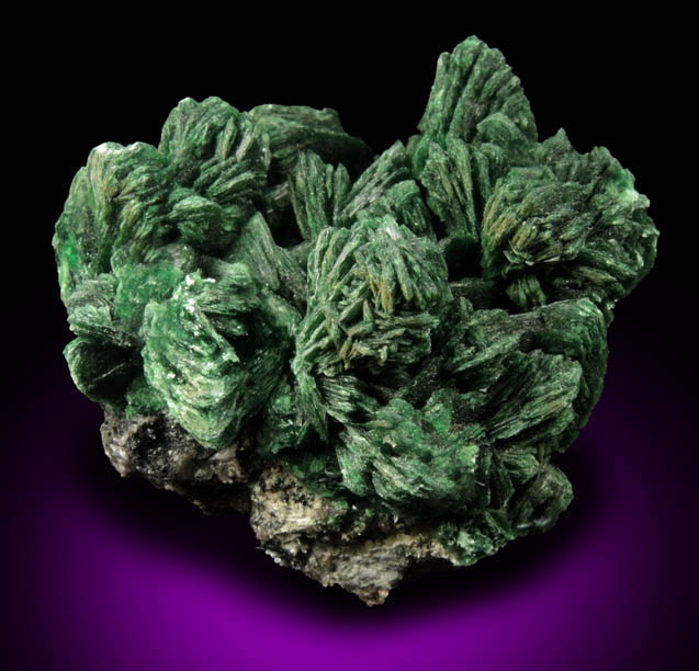 Torbernite from Musonoi Mine, Kolwezi District, Katanga Copperbelt, Lualaba Province, Democratic Republic of the Congo