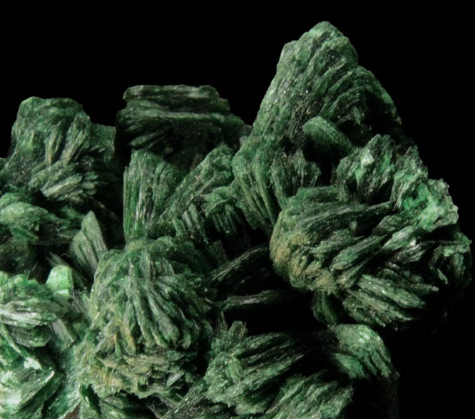 Torbernite from Musonoi Mine, Kolwezi District, Katanga Copperbelt, Lualaba Province, Democratic Republic of the Congo