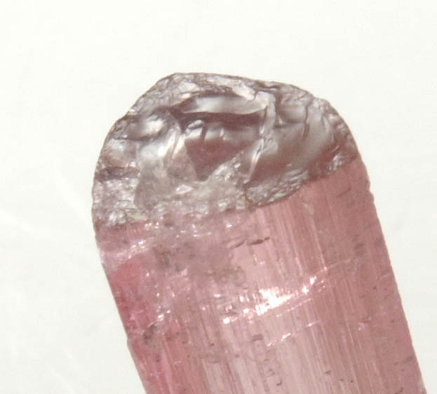 Elbaite var. Rubellite Tourmaline from Minas Gerais, Brazil