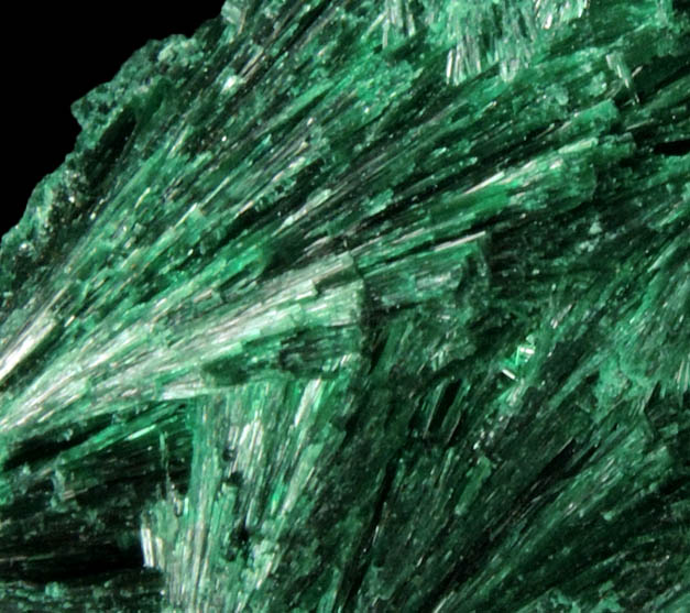 Malachite (fibrous) from Kolwezi Mining District, 240 km WNW of  Lubumbashi, Katanga Copperbelt, Lualaba Province, Democratic Republic of the Congo