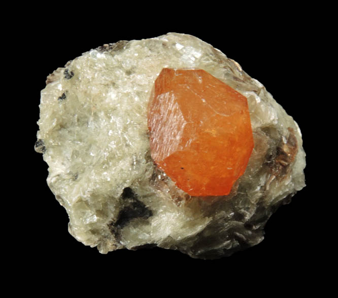 Spessartine Garnet in Muscovite from Loliondo, Mpwapwa District, Dodoma, Tanzania